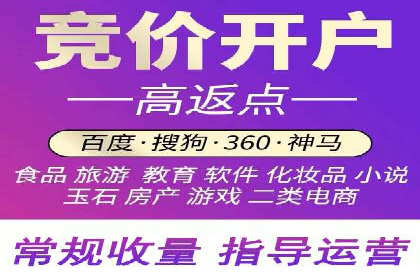 百度SEO推广案例解析与效果评估